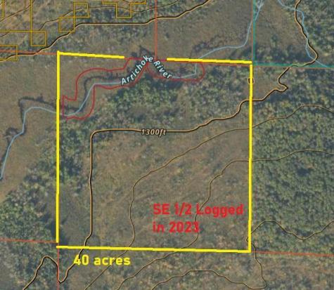 TBD40 Township Road 5743 Road Alborn MN 55702