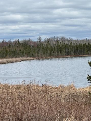 TBD40 Township Road 5743 Road Alborn MN 55702