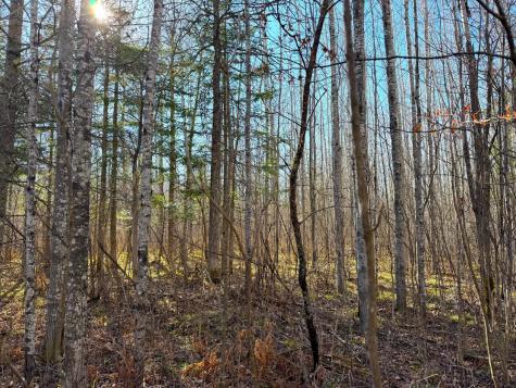 Lot C County Road 79 Littlefork MN 56653