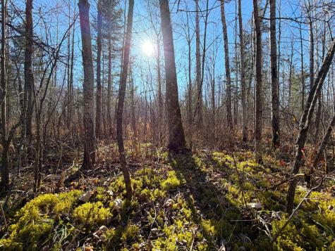 Lot C County Road 79 Littlefork MN 56653