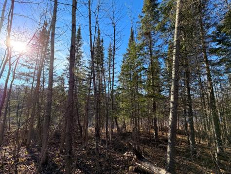 Lot C County Road 79 Littlefork MN 56653