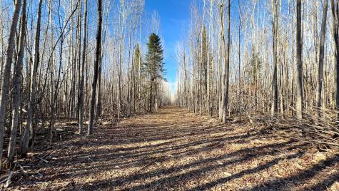 Lot C County Road 79 Littlefork MN 56653