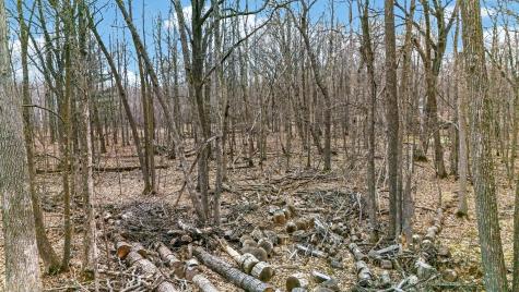Tbd Branch Drive Pine City MN 55063