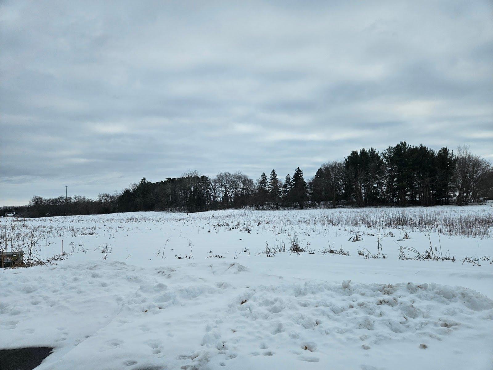 Lot 8, Block 3 2 1/2 Ave NE Saint Stephen MN 56375