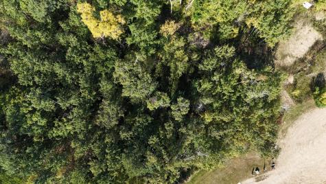 Tbd 377th Street Perham MN 56573