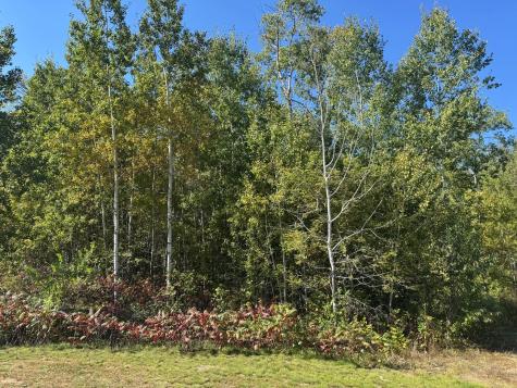 Tbd 377th Street Perham MN 56573