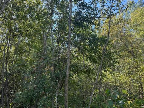 Tbd 377th Street Perham MN 56573