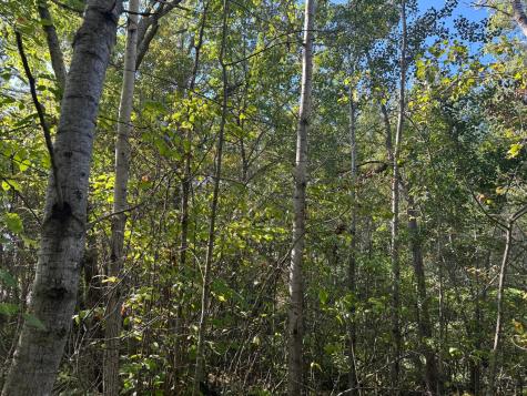 Tbd 377th Street Perham MN 56573