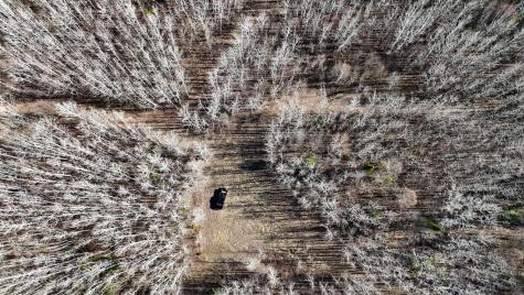 Lot F County Road 79 Littlefork MN 56653