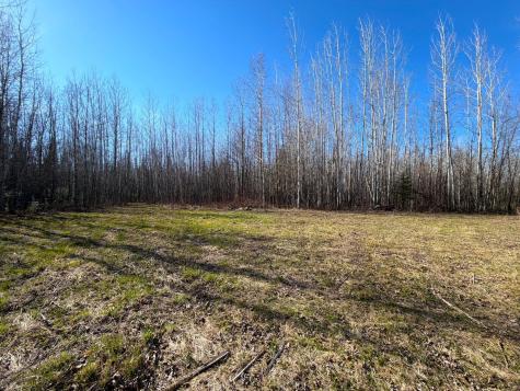 Lot F County Road 79 Littlefork MN 56653