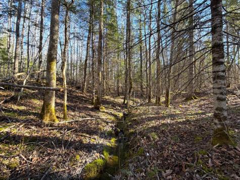 Lot F County Road 79 Littlefork MN 56653