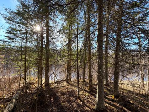 Lot F County Road 79 Littlefork MN 56653