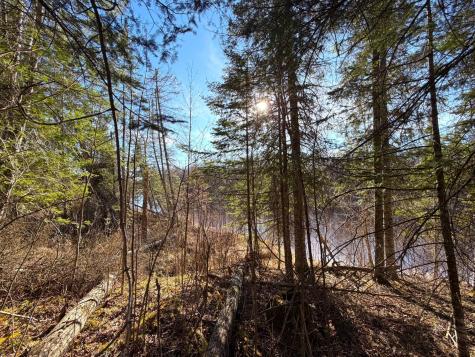 Lot F County Road 79 Littlefork MN 56653