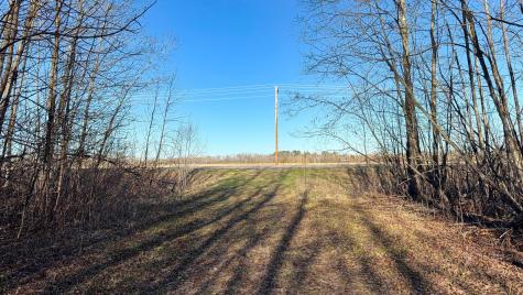Lot F County Road 79 Littlefork MN 56653