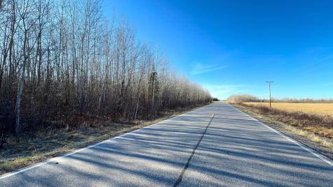 Lot F County Road 79 Littlefork MN 56653