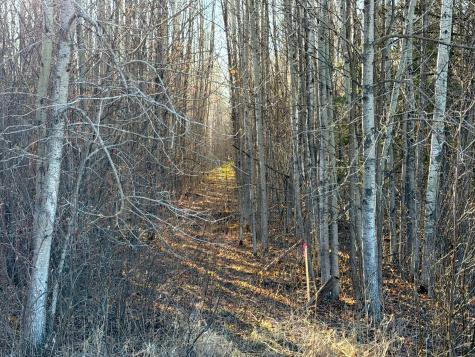 Lot F County Road 79 Littlefork MN 56653