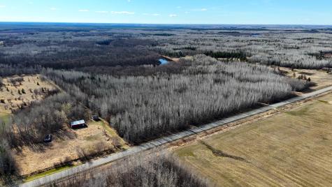 Lot F County Road 79 Littlefork MN 56653