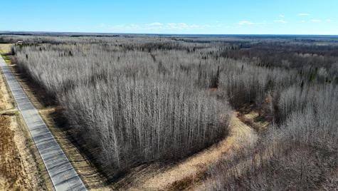 Lot F County Road 79 Littlefork MN 56653