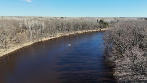 Lot F County Road 79 Littlefork MN 56653