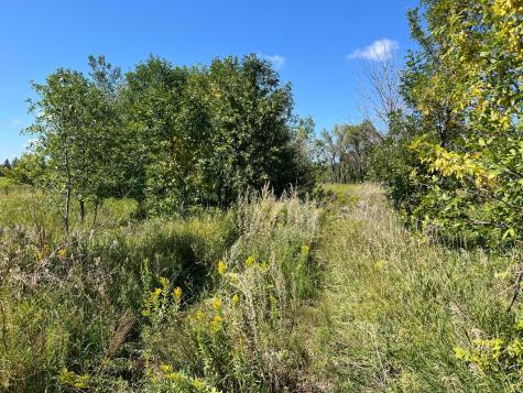 3680 145 Avenue SE Buffalo ND 58079