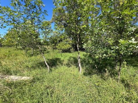 3680 145 Avenue SE Buffalo ND 58079