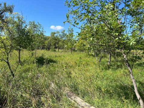 3680 145 Avenue SE Buffalo ND 58079