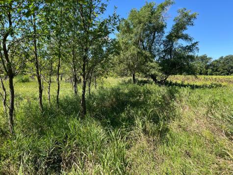 3680 145 Avenue SE Buffalo ND 58079