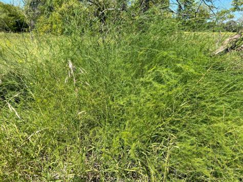 3680 145 Avenue SE Buffalo ND 58079