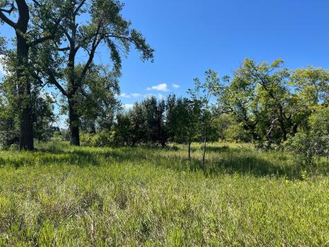 3680 145 Avenue SE Buffalo ND 58079