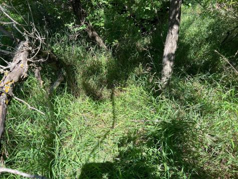 3680 145 Avenue SE Buffalo ND 58079