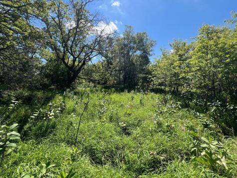 3680 145 Avenue SE Buffalo ND 58079