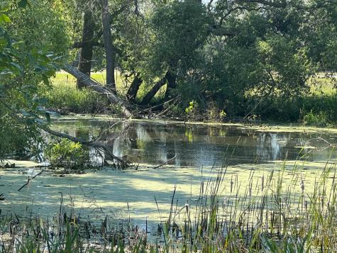 3680 145 Avenue SE Buffalo ND 58079