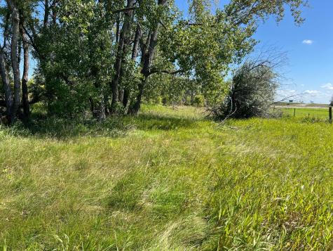 3680 145 Avenue SE Buffalo ND 58079