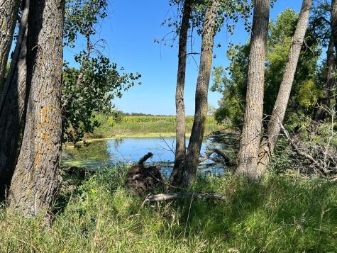 3680 145 Avenue SE Buffalo ND 58079