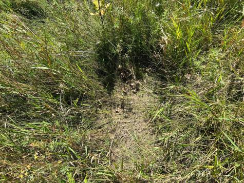 3680 145 Avenue SE Buffalo ND 58079