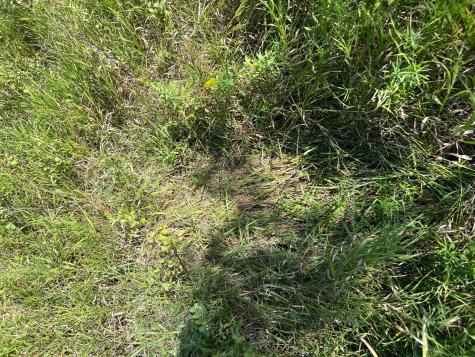 3680 145 Avenue SE Buffalo ND 58079