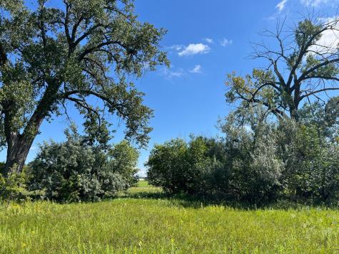 3680 145 Avenue SE Buffalo ND 58079