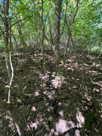 3680 145 Avenue SE Buffalo ND 58079