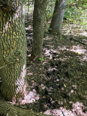 3680 145 Avenue SE Buffalo ND 58079