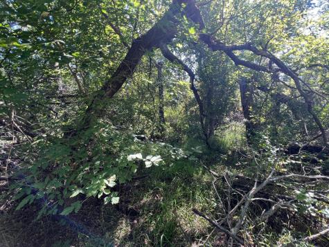 3680 145 Avenue SE Buffalo ND 58079