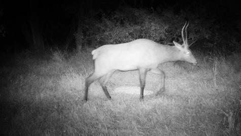 3680 145 Avenue SE Buffalo ND 58079