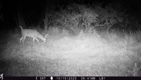 3680 145 Avenue SE Buffalo ND 58079