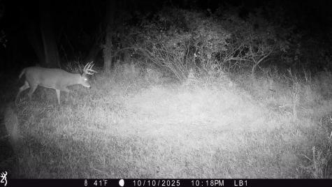 3680 145 Avenue SE Buffalo ND 58079