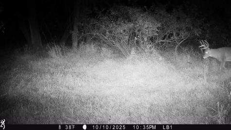 3680 145 Avenue SE Buffalo ND 58079