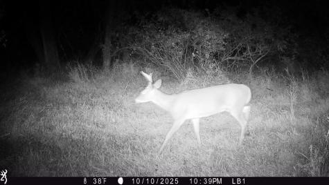 3680 145 Avenue SE Buffalo ND 58079