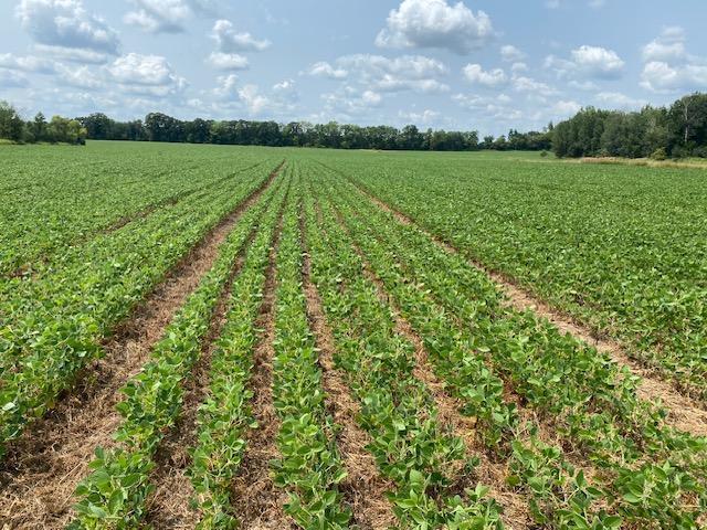 Tbd 160th Street Foreston MN 56330