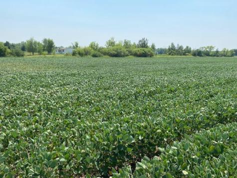 Tbd 160th Street Foreston MN 56330