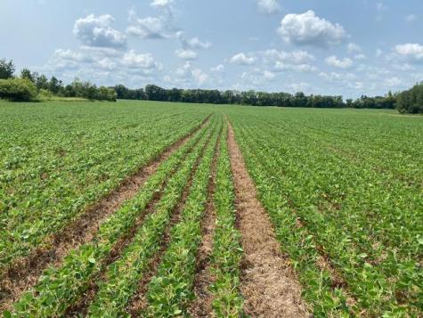 Tbd 160th Street Foreston MN 56330