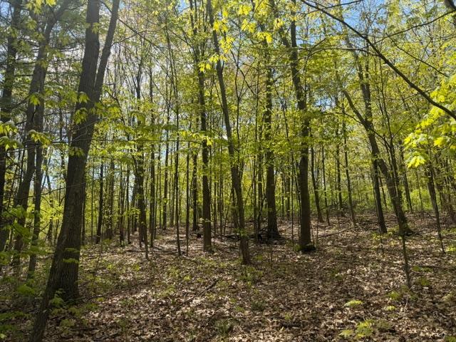 Tbd 1st Street Taylors Falls MN 55084