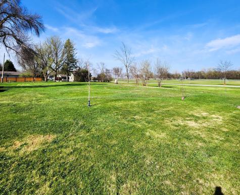 602 E Willow Avenue Olivia MN 56277